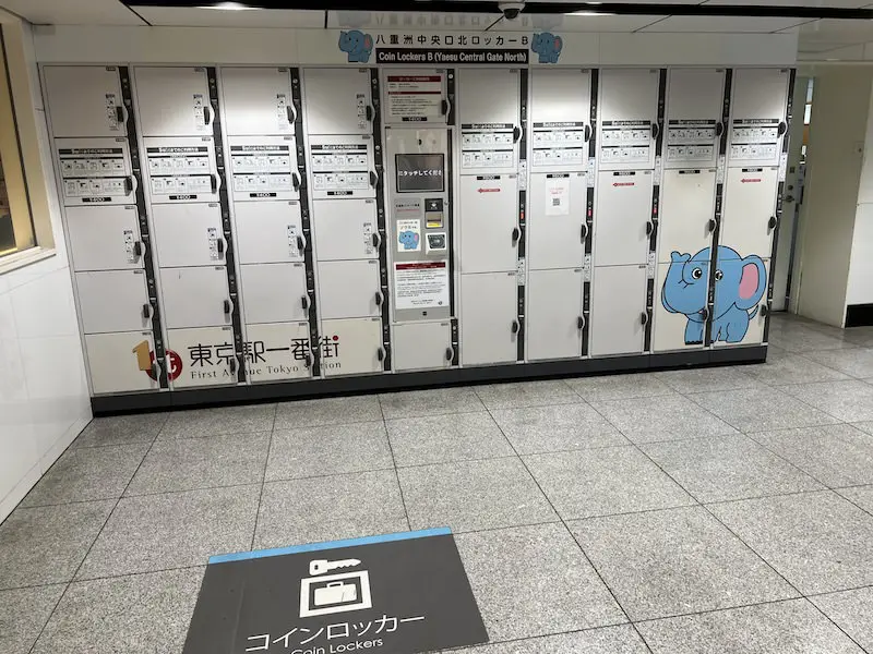 从左侧进入，在前方[检票口外]寻找八重洲中央出口北侧 B 储物柜（大象）。