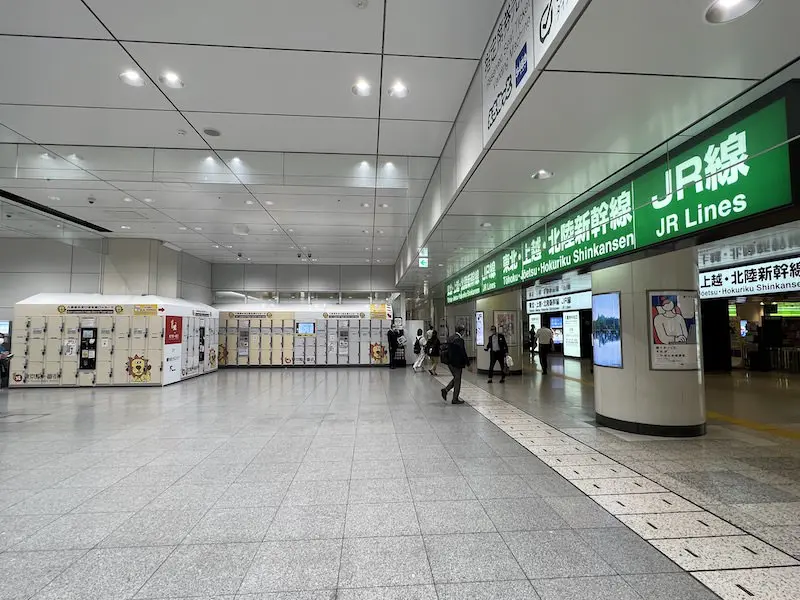 Coin lockers located in front of the Yaesu Central Exit of conventional lines