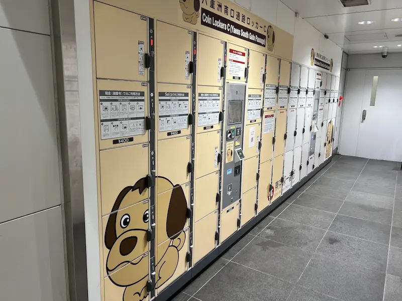【Outside the ticket gates】Yaesu South Exit Aisle Lockers C and D (dog)