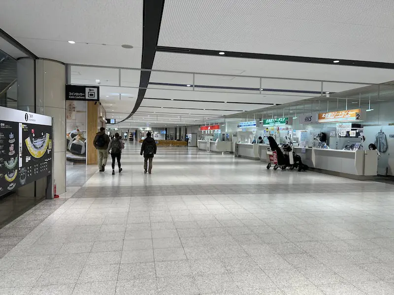 Domestic arrivals lobby on the south side of the 1st floor. A coin locker sign can be seen on the left.