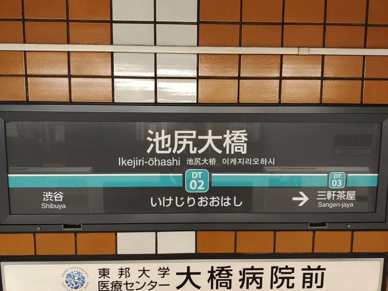池臀大橋站